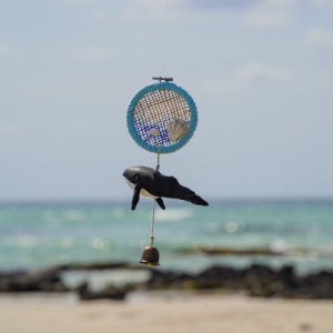 [해녀복 업사이클링] 바다고래 풍경