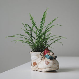 더피고사리 드워프 슈즈팟