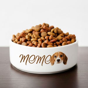 커스텀 주문제작 중형견밥그릇