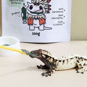 크레스티드게코 슈퍼푸드 정글푸드 초록슈푸