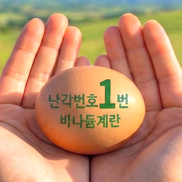 난각번호1번 바나듐 계란 무항생제 1등급 자연 자유 방사 방목 날계란 배달 택배