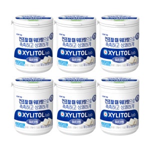 롯데 자일리톨 랩워터링 100g x 6개 용기 껌 풍선껌