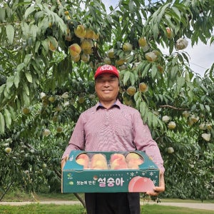[설숭아 프리미엄 겨울복숭아] 당도선별 최초재배 GAP인증 설도 홍현농장 3kg, 10개