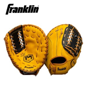 프랭클린 필드마스터 1루미트 22624 (골드/블랙)