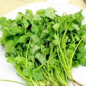 국내산 고수 생고수 쌀국수 야채 200g 400g