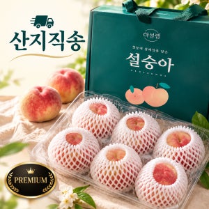 [설숭아 프리미엄 겨울복숭아] 당도선별 최초재배 GAP인증 설도 홍현농장 1.8kg, 6개