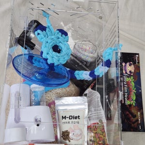 피그미다람쥐 303045 가성비 풀세트 국산 아크릴3T 케이지 12종 아기다람쥐또미