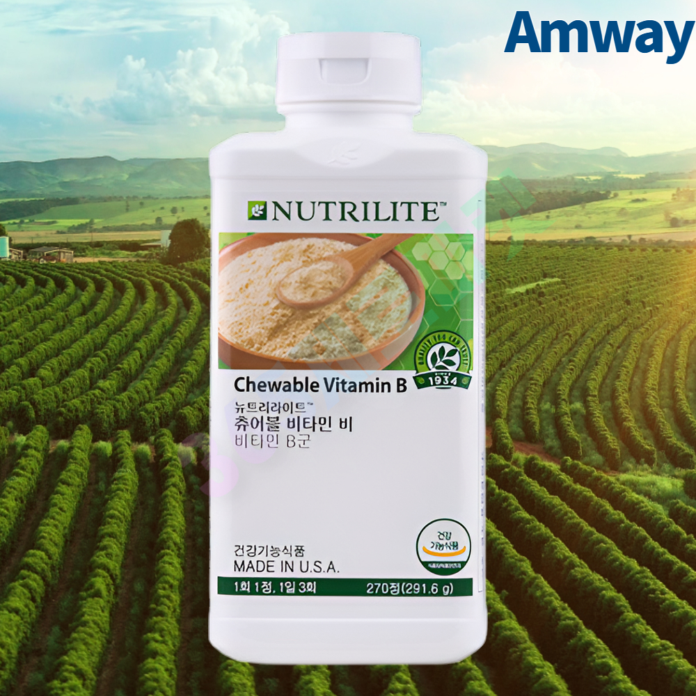 암웨이 츄어블 비타민 비 270정 비타민B군 뉴트리라이트 (구 이스트비)