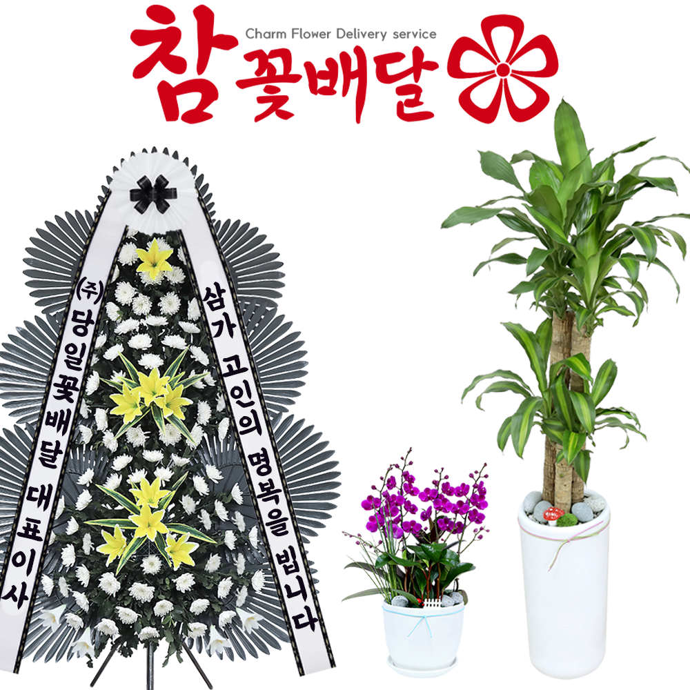 진주화환 진주근조화환 꽃배달
