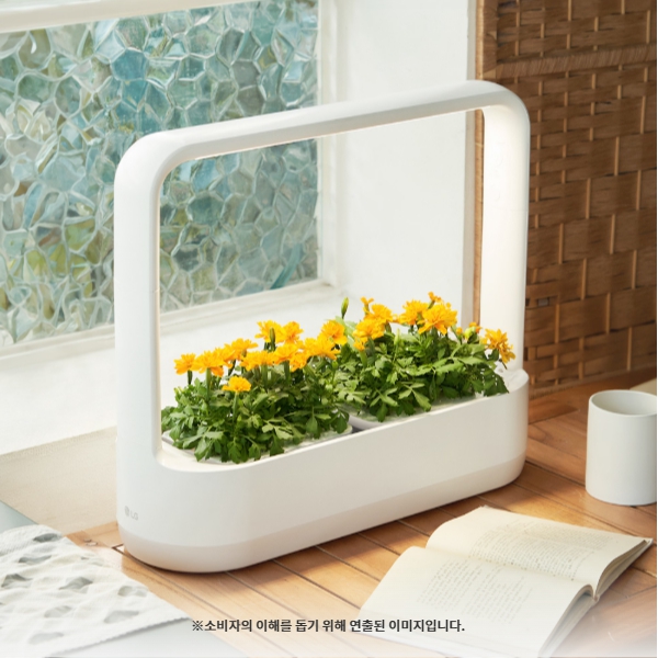 LG 틔운 미니 수경 재배 가정용 스마트팜 채소 허브 꽃 식물 재배기