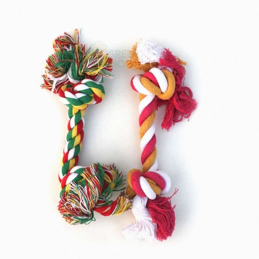 GM7 치실토이 개뼈 S 랜덤 터그놀이 고양이장난감 강아지놀이감