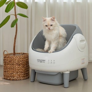 캣오토릭 고양이 자동화장실 오픈형 저소음 앱제어 두부모래