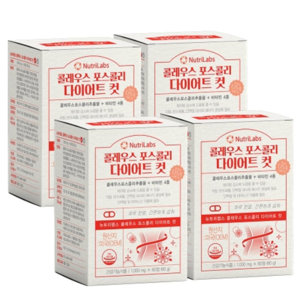 콜레우스 포스콜리 다이어트 컷