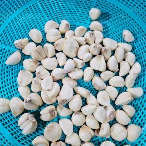 대끼리네 국내산 파지 깐마늘 꼭지 제거 20kg 대용량 식자재 식당 도매 10kg 5kg