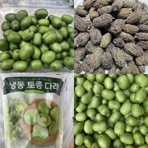 맛있는 국산 다래 참 토종 다래 건다래 1kg-10kg