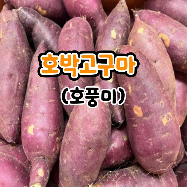 호박고구마 10kg