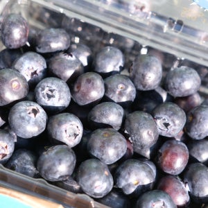 수입산 대왕 생 블루베리 250g 500g 750g