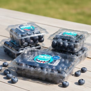 칠레산 대왕 생 블루베리 500g 1kg 1.5kg