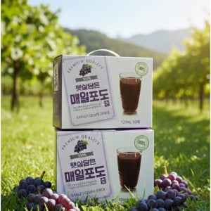 (2025년)1+1 모동 100%캠벨즙 포도즙 프리미엄 대용량 쥬스 nfc착즙