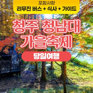 [당일] 2025 청주 청남대 가을축제 단풍 여행 서울출발 리무진 버스투어 패키지