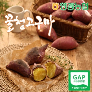 [영광농협] 꿀청고구마 맛있는 꿀고구마 10kg (왕)