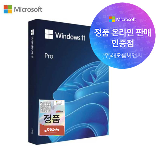 마이크로소프트 윈도우11 Windows 프로 FPP 처음사용자용 PC 설치용 USB포함