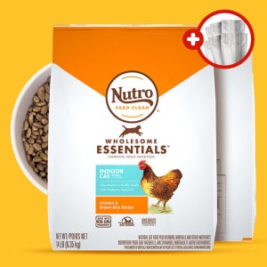 (+소분세트) 뉴트로 캣 내추럴초이스 고양이사료 장건강 사료 인도어 닭고기+현미, 6.35kg, 1개