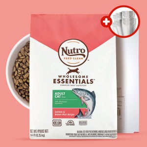 (+소분세트) 뉴트로 캣 내추럴초이스 고양이사료 장건강 사료 연어+현미, 6.35kg, 1개
