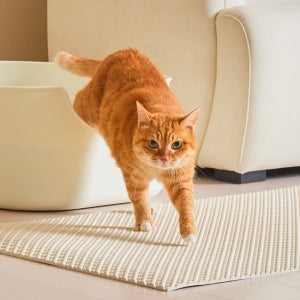 3651 이지클린 고양이 모래매트 화장실 사막화 방지 L