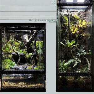 비바리움 테라리움키트 이끼 팔루다리움 어항 만들기 키트 키우기 DIY 화분 양서류 취미