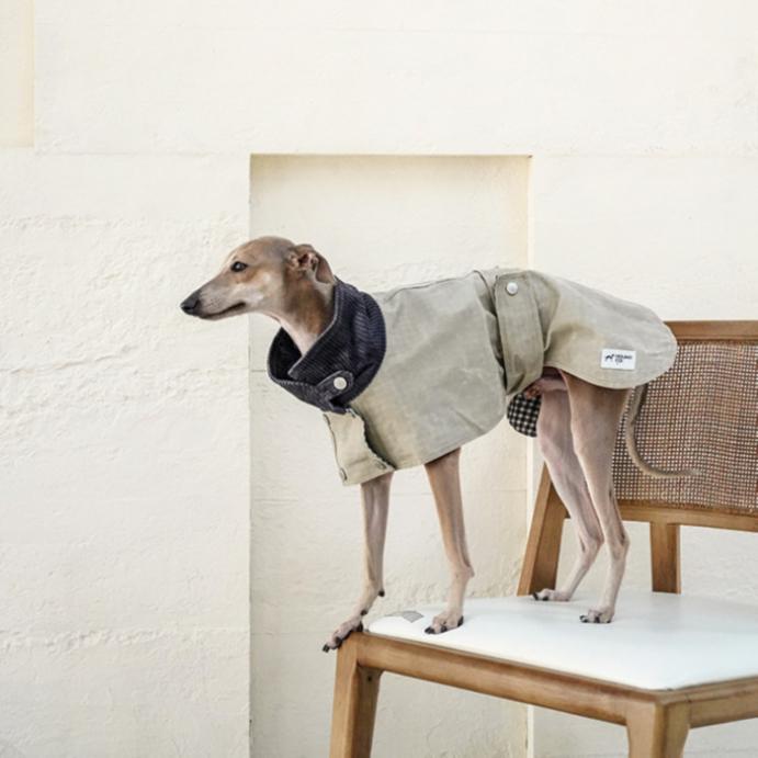 강아지 망토 판초 트렌치코트 아이쥐 아우터 베이지