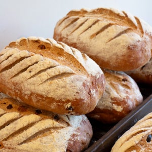 부드럽고 소화가 잘 되는 100% 통밀빵 400g 깜빠뉴 6종 유기농 식사빵