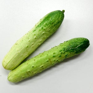 채소팜 백오이 5개