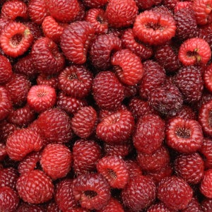 2025년 햇 새콤달콤 냉동 산딸기 산지직송 급냉 1kg