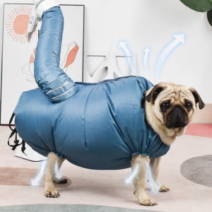 펫드라이룸 드라이기 강아지 애견 건조기 털말리기