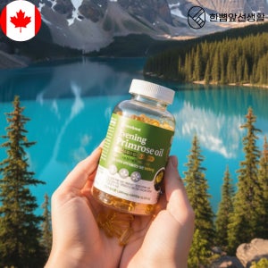 달맞이꽃종자유 감마리놀렌산 pms증후군 300캡슐 캐나다 영양제