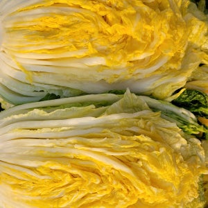 무르지 않는 맛있는 괴산 절임배추 절인배추 20kg