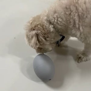 코아이 자연의 향이 나는 강아지 노즈워크 장난감 산책 공 간식, 의료용 실리콘 국내제작