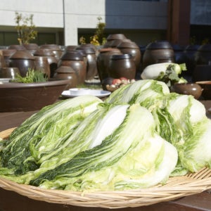 26년 국내산 괴산 청결 절임배추 20kg