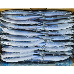 (2박스마다 택배비1건) 대만산 냉동 햇 꽁치 9.346kg 1번 (70미 전후) 식당용 구이용 대용량