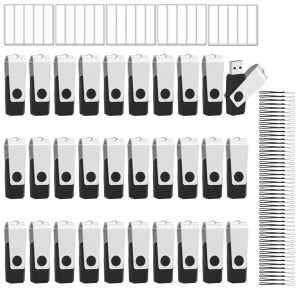 이스트불 50개 플래시 드라이브 벌크 2GB USB 2.0 팩 스트링 및 라벨이 있는