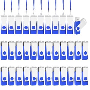 이스트불 100 플래시 드라이브 팩 2GB 대용량 USB 2.0 엄지 드라이브(랜야드