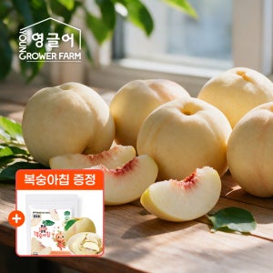 설아복숭아 1.7kg(4-6과) [증정] 특대과 산지직송 쫀득 달콤 고당도 첫눈 겨울 설도 설리 복숭아 1.7kg, 1개