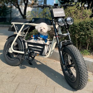 엑스트랙 몬스터 쿱펫 COOP PET 팻바이크 애견동승 자토바이 48V 바구니 전동 전기 자전거