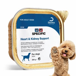 스페시픽 강아지 처방 습식사료 CKW 심장 신장 간, 300g, 1개
