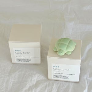 행운을 불러오는 차량용 거북이 석고방향제 카센트 오브제 새차선물