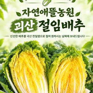 오픈이벤트 26년 국산 괴산 절임배추 20kg 준고랭지 재배 김장용