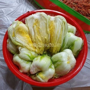 [농사짓는 산이네] HACCP 해남절임배추 20kg 해썹 김장 해남배추 월동배추 겨울왕국
