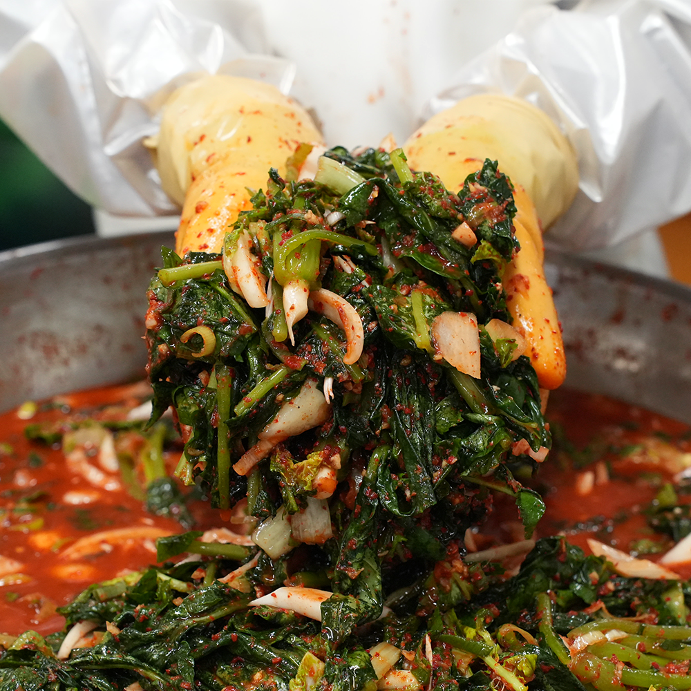 당일제조 열무김치 5kg (16,520원) (무료)
