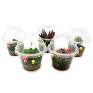 봄맞이 자연체험 5인용 미니 투명컵 테라리움 만들기 식물키우기 EC106969